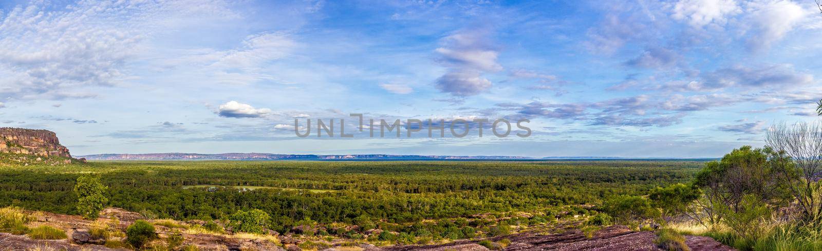 panorama from the Nadab Lookout in ubirr, kakadu national park - australia by bettercallcurry