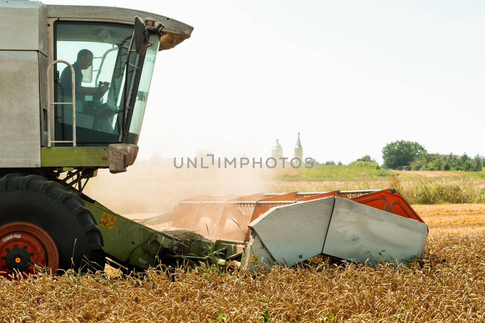 Man in combine harvesters with grain header, wide chaff spreader reaping cereal ears. Rotary straw walker cut and threshes ripe wheat grain. Gathering crop by agricultural machinery on field in summer