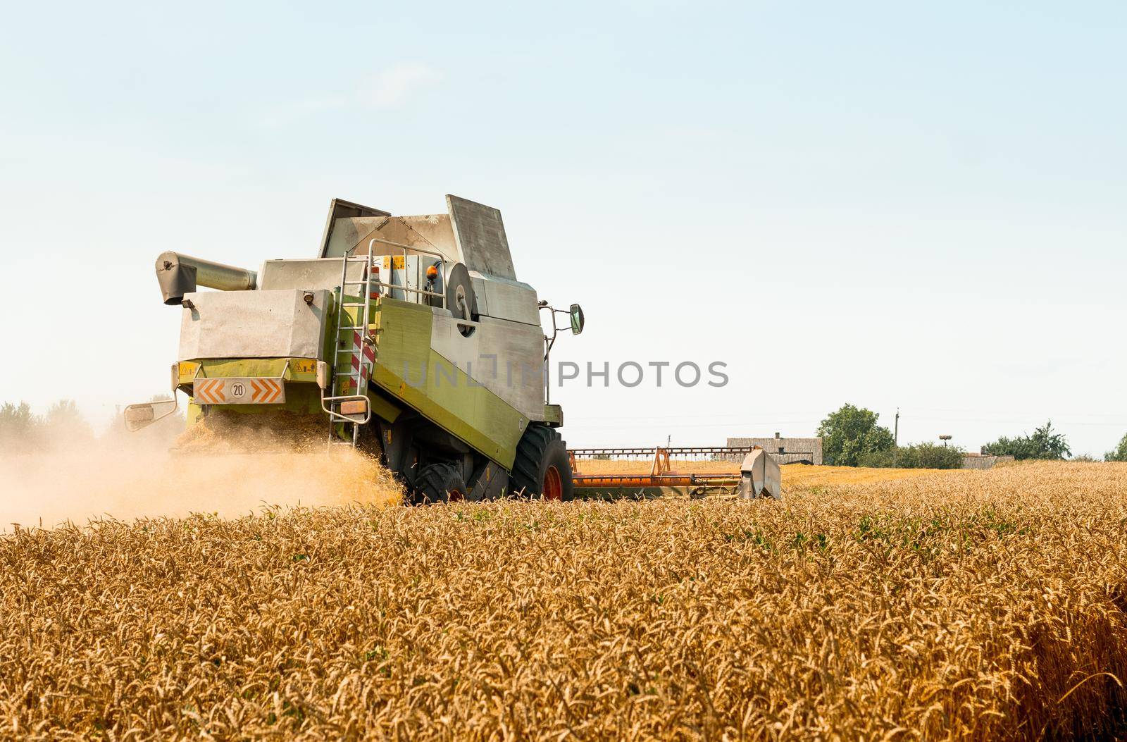 Combine harvesters with grain header, wide chaff spreader reaping cereal ears. Rotary straw walker cut and threshes ripe wheat grain. Gathering crop by agricultural machinery on field on summer season