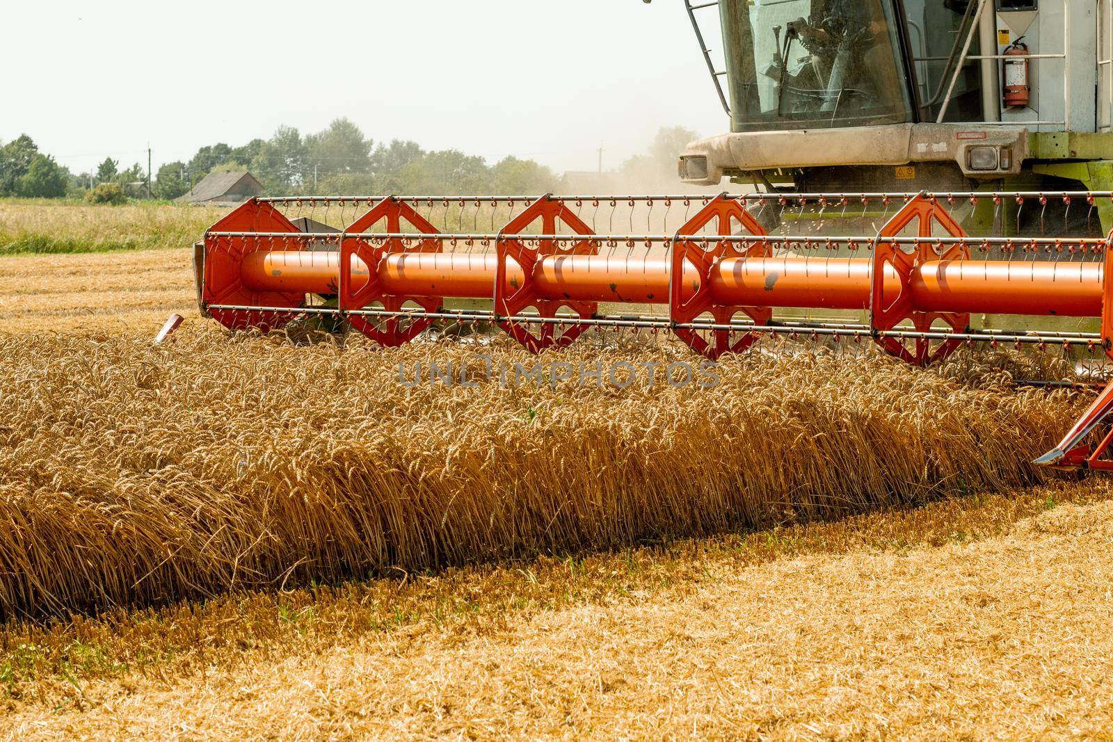 Platform grain header with thresher reel, cutter bar reaping cereal ears. Rotary straw walker combine harvester cuts and threshes ripe wheat grain. Gathering crop by agricultural machinery on field