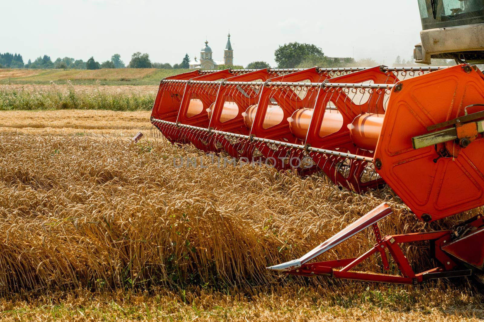 Platform grain header with thresher reel, cutter bar reaping cereal ears. Rotary straw walker combine harvester cuts and threshes ripe wheat grain. Gathering crop by agricultural machinery on field