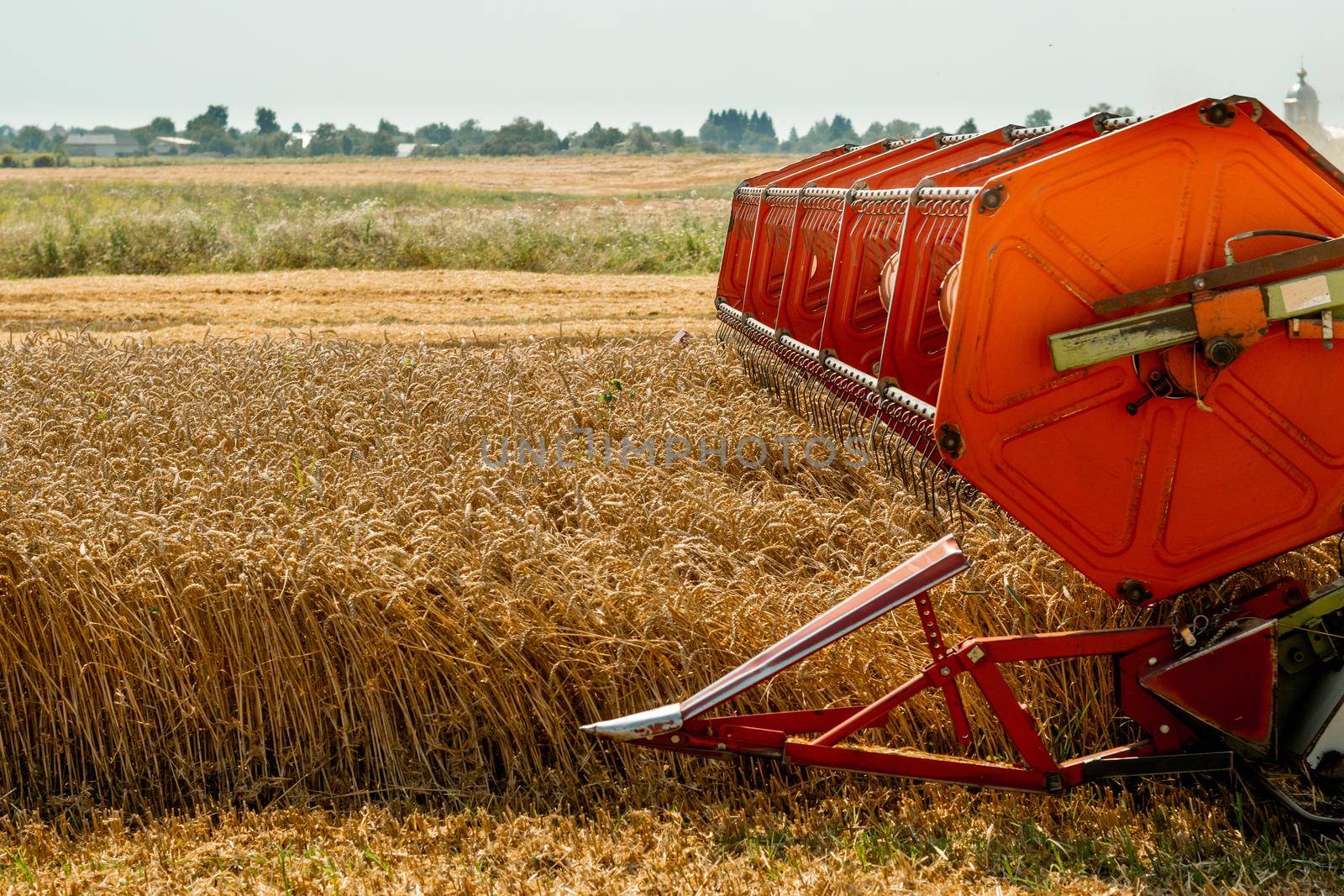 Platform grain header with thresher reel, cutter bar reaping cereal ears. Rotary straw walker combine harvester cuts and threshes ripe wheat grain. Gathering crop by agricultural machinery on field