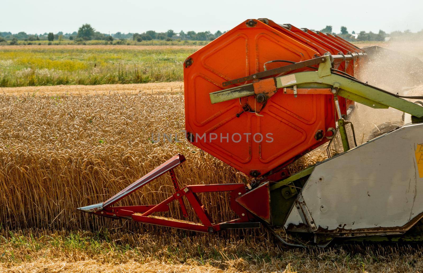 Platform grain header with thresher reel, cutter bar reaping cereal ears. Rotary straw walker combine harvester cuts and threshes ripe wheat grain. Gathering crop by agricultural machinery on field