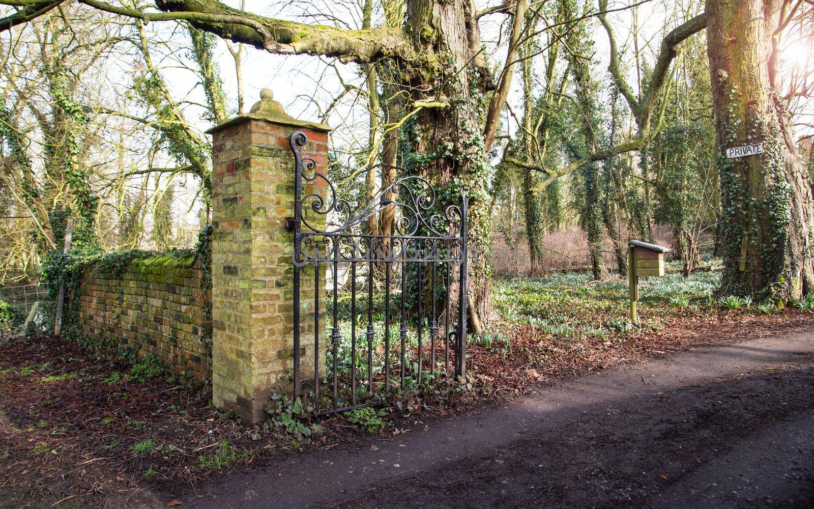 Gated Entrance to a private property by NelliPolk