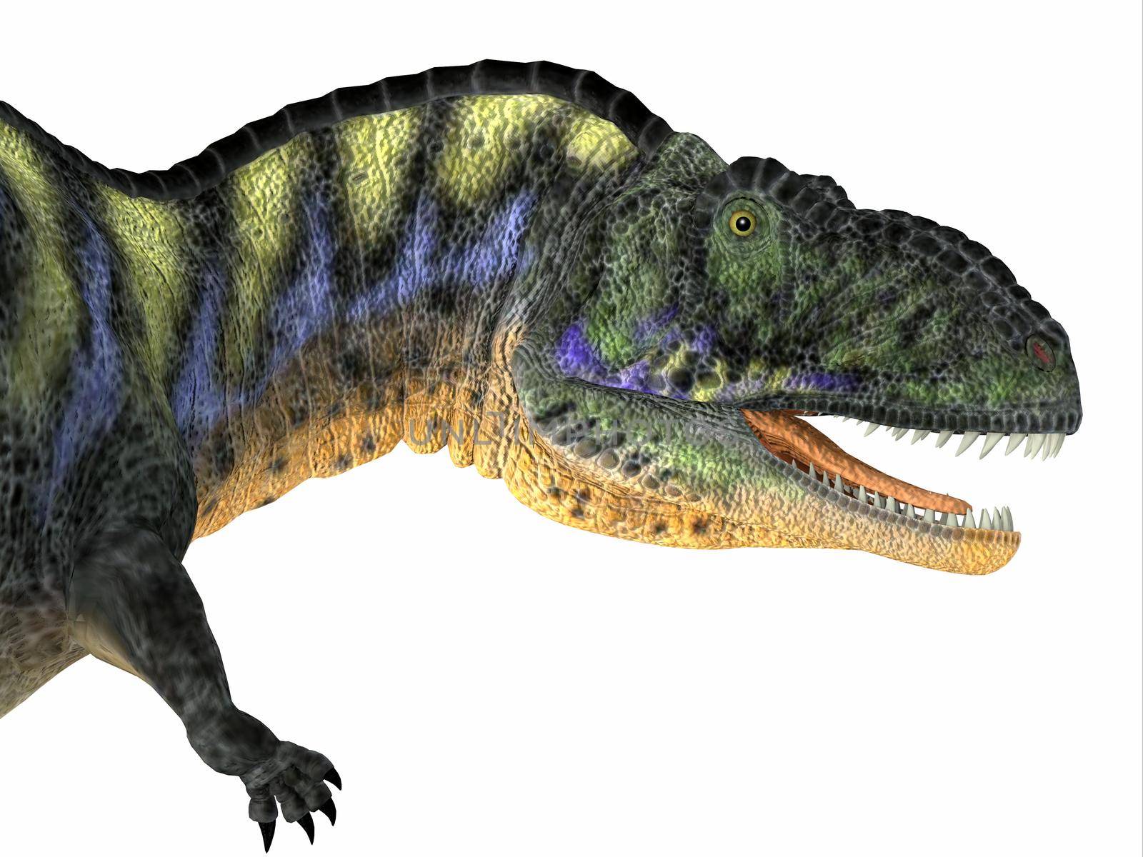 Aucasaurus Dinosaur Head by Catmando