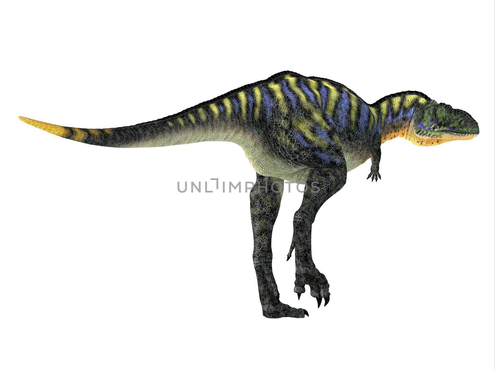 Aucasaurus was a carnivorous theropod dinosaur that lived in Argentina during the Cretaceous Period.