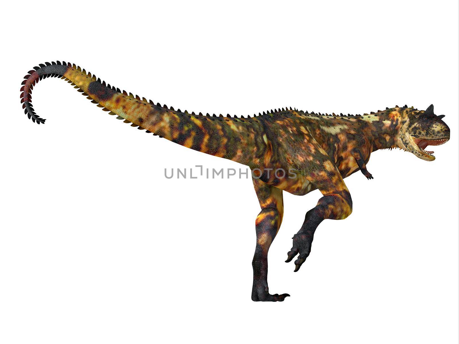 Carnotaurus was a carnivorous theropod dinosaur that lived in Patagonia and Argentina during the Cretaceous Period.