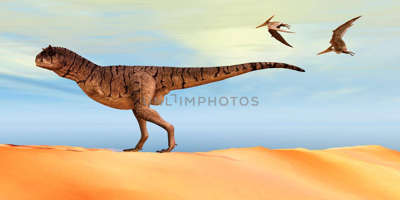 Pteranodon flying reptiles follow a Carnotaurus theropod dinosaur on the hunt for his next prey during the Cretaceous Period.