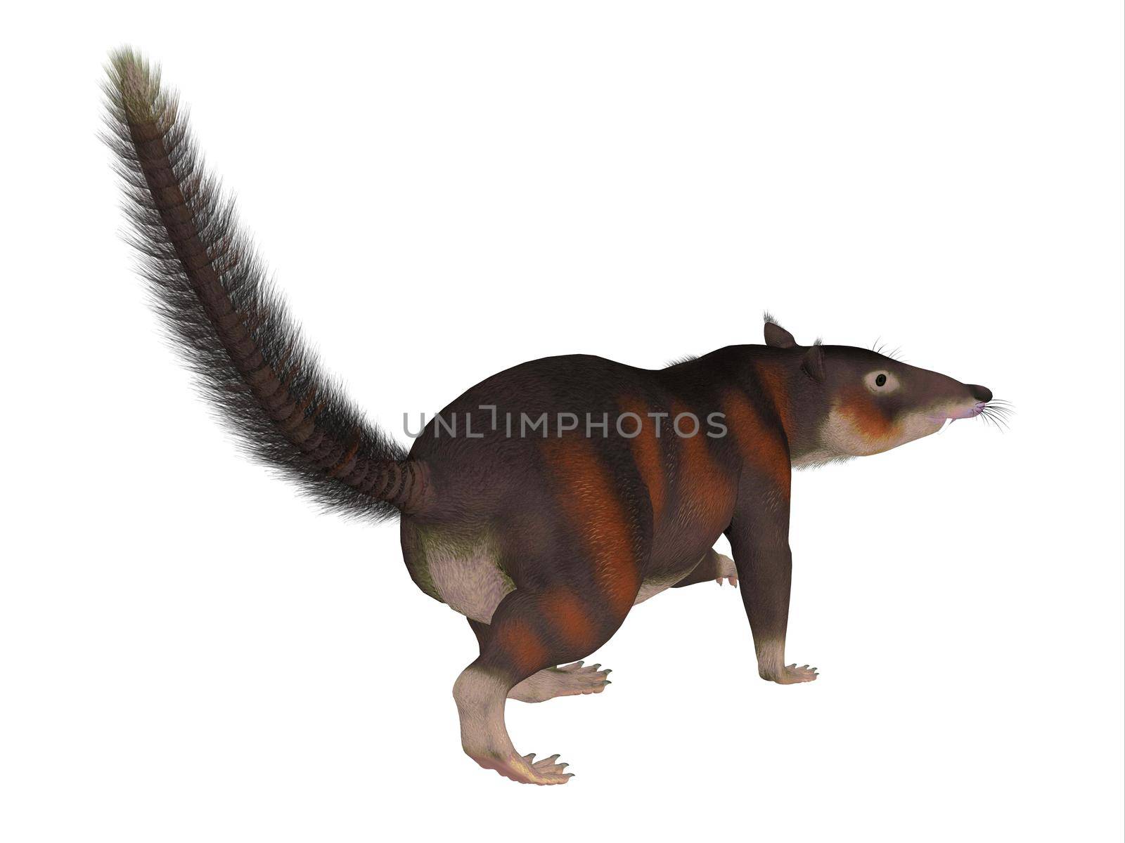 Cronopio is an extinct carnivorous mammal that lived in South America during the Cretaceous Period.