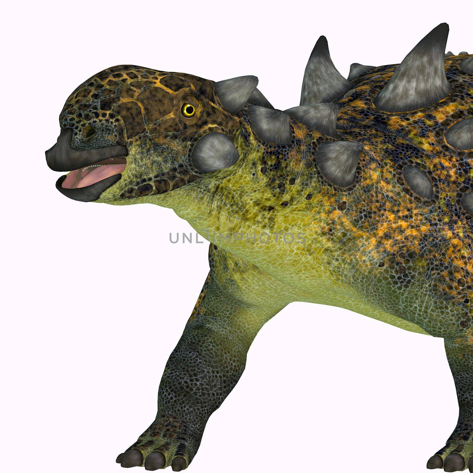 Euoplocephalus Dinosaur Head by Catmando