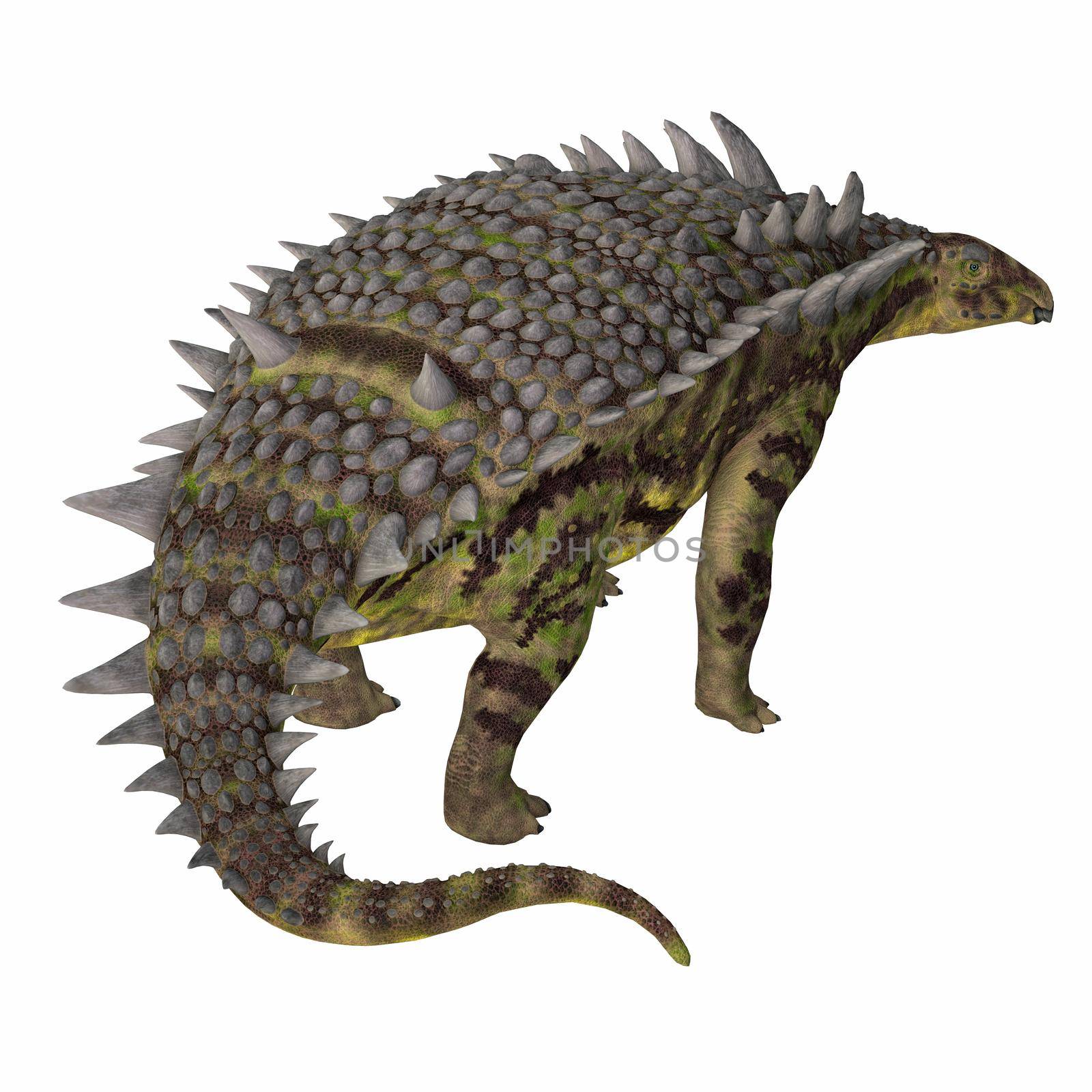 Hungarosaurus was a herbivorous armored Ankylosaur dinosaur that lived in Hungary during the Cretaceous Period.