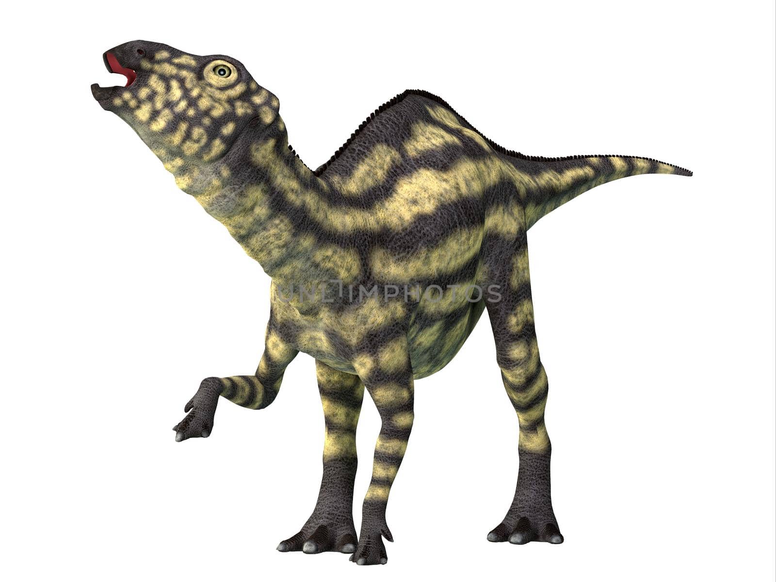 Maiasaura Juvenile Dinosaur by Catmando