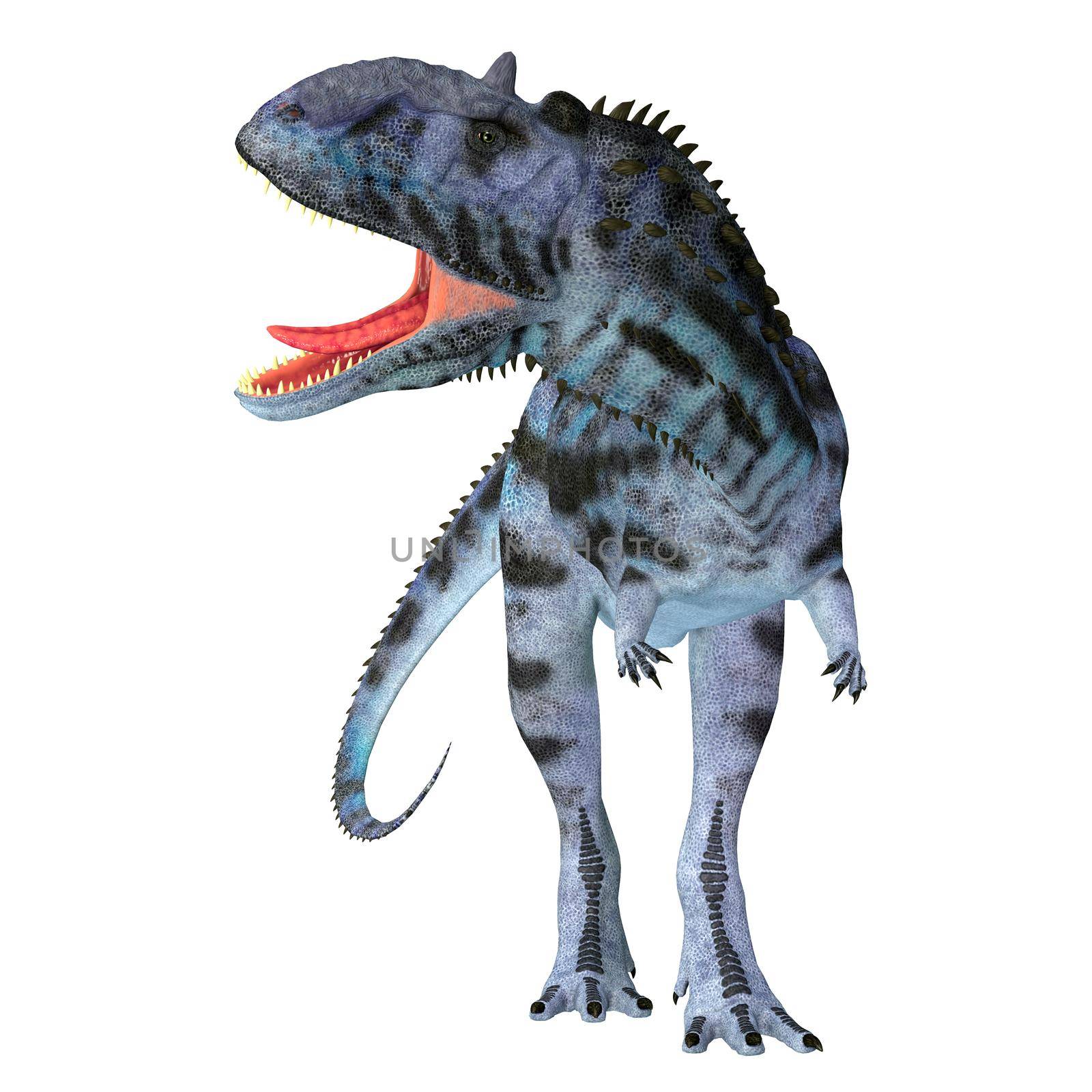 Majungasaurus was a carnivorous theropod dinosaur that lived in Madagascar during the Cretaceous Period.