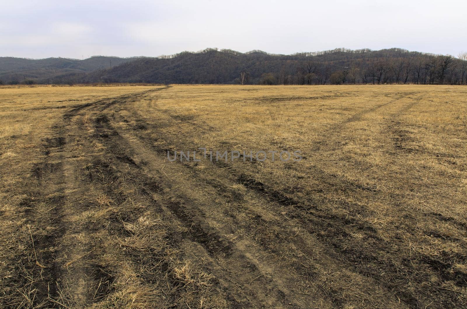Tire marks in the field, detail of footprints in the field. car footprint.