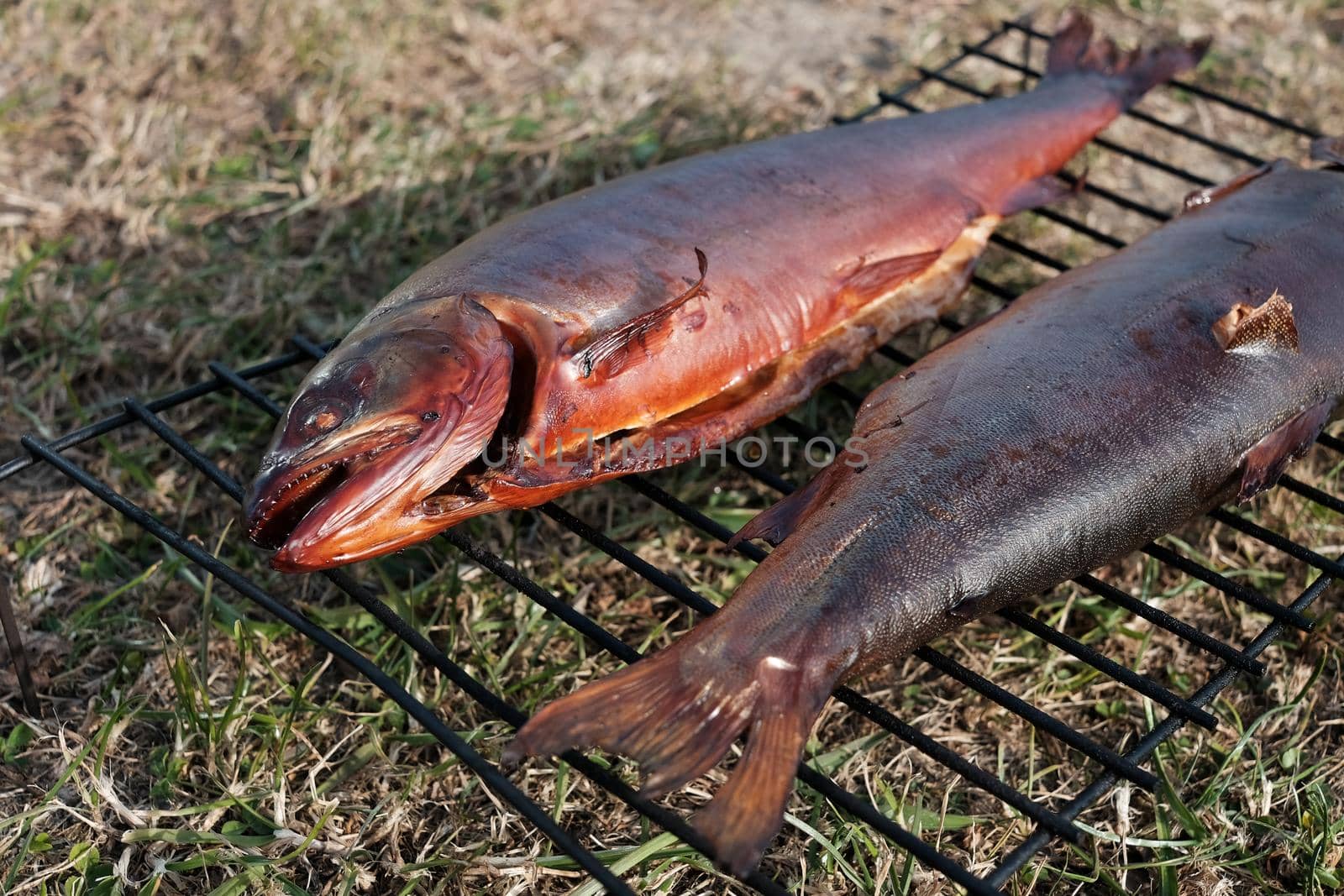 Barbecue with fish. Grilled fish. Fatty, oily fish is an excellent and healthy source of DHA and EPA, which are two key types of omega-3 acid.