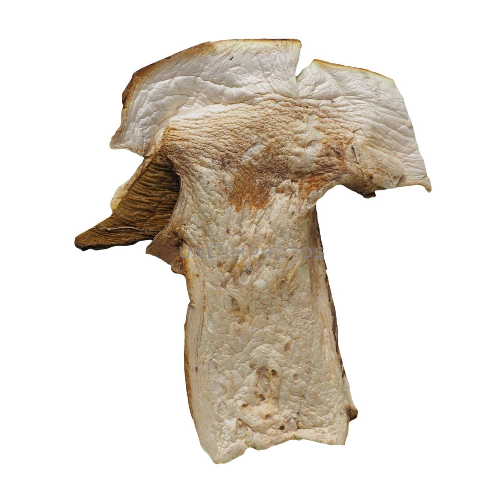 dried porcini (Boletus edulis) mushroom vegetarian food isolated over white by claudiodivizia