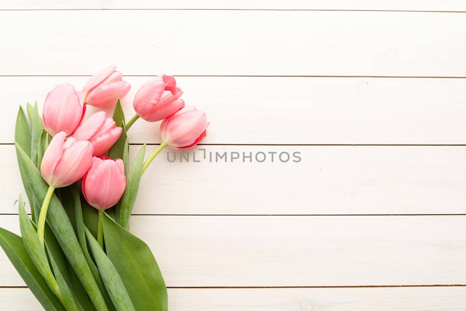 Spring, flowers concept. Pink tulips over white wooden table background with copy space