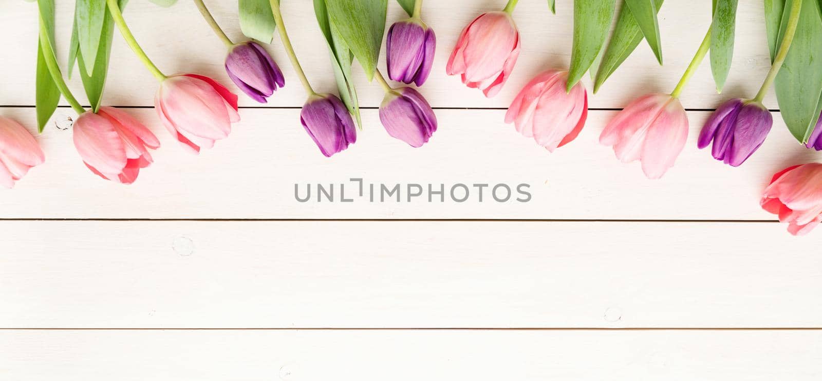 Spring, flowers concept. Pink and purple tulips over white wooden table background, banner