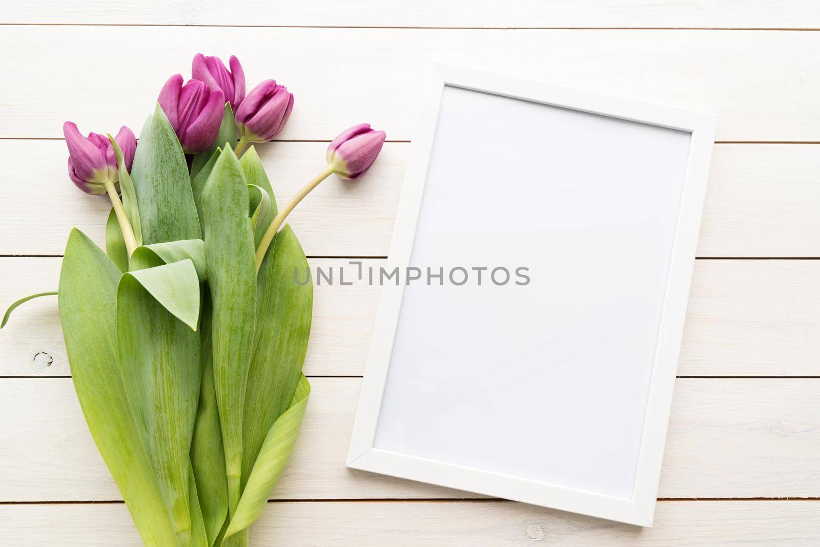 White frame with purple spring tulips top view over white wooden background by Desperada