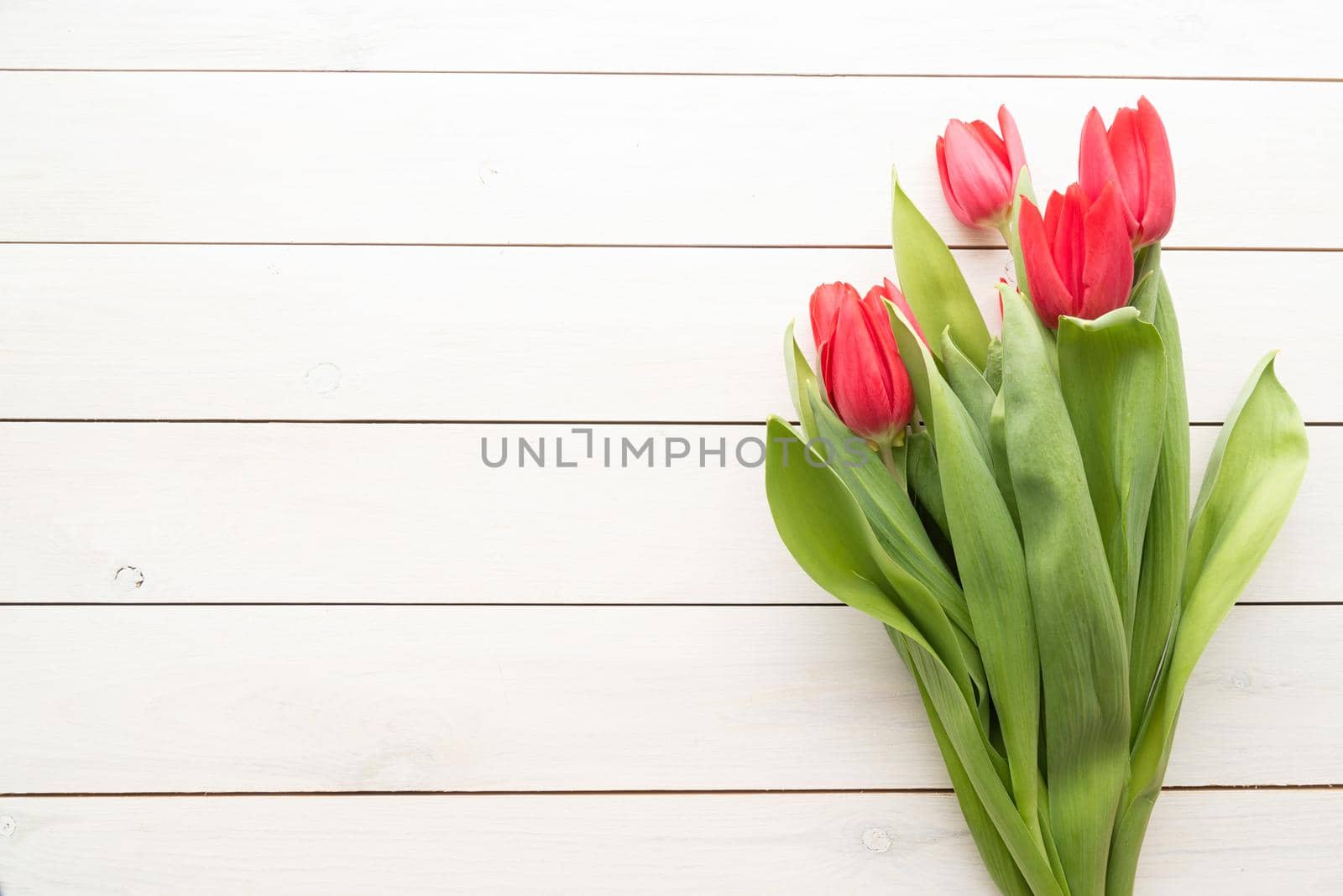 Bunch of spring tulips over white wooden background, top view flat lay