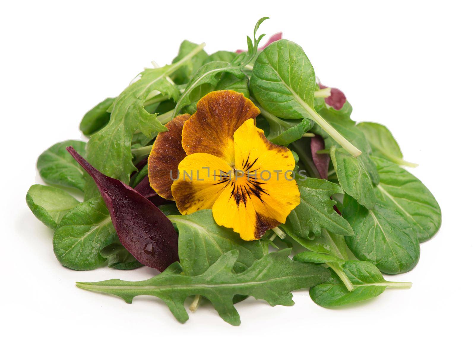 mix salad with arugula spinach salad red and edible flowers on a white background by aprilphoto