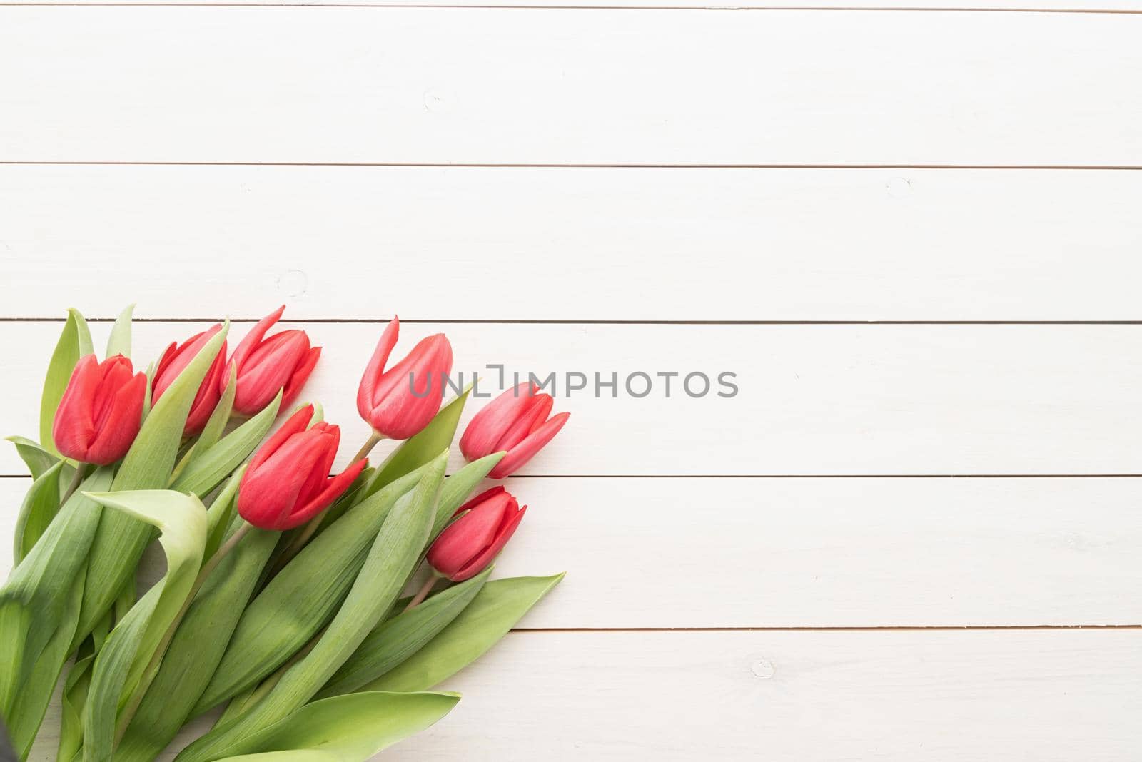 Bunch of spring tulips over white wooden background, top view flat lay