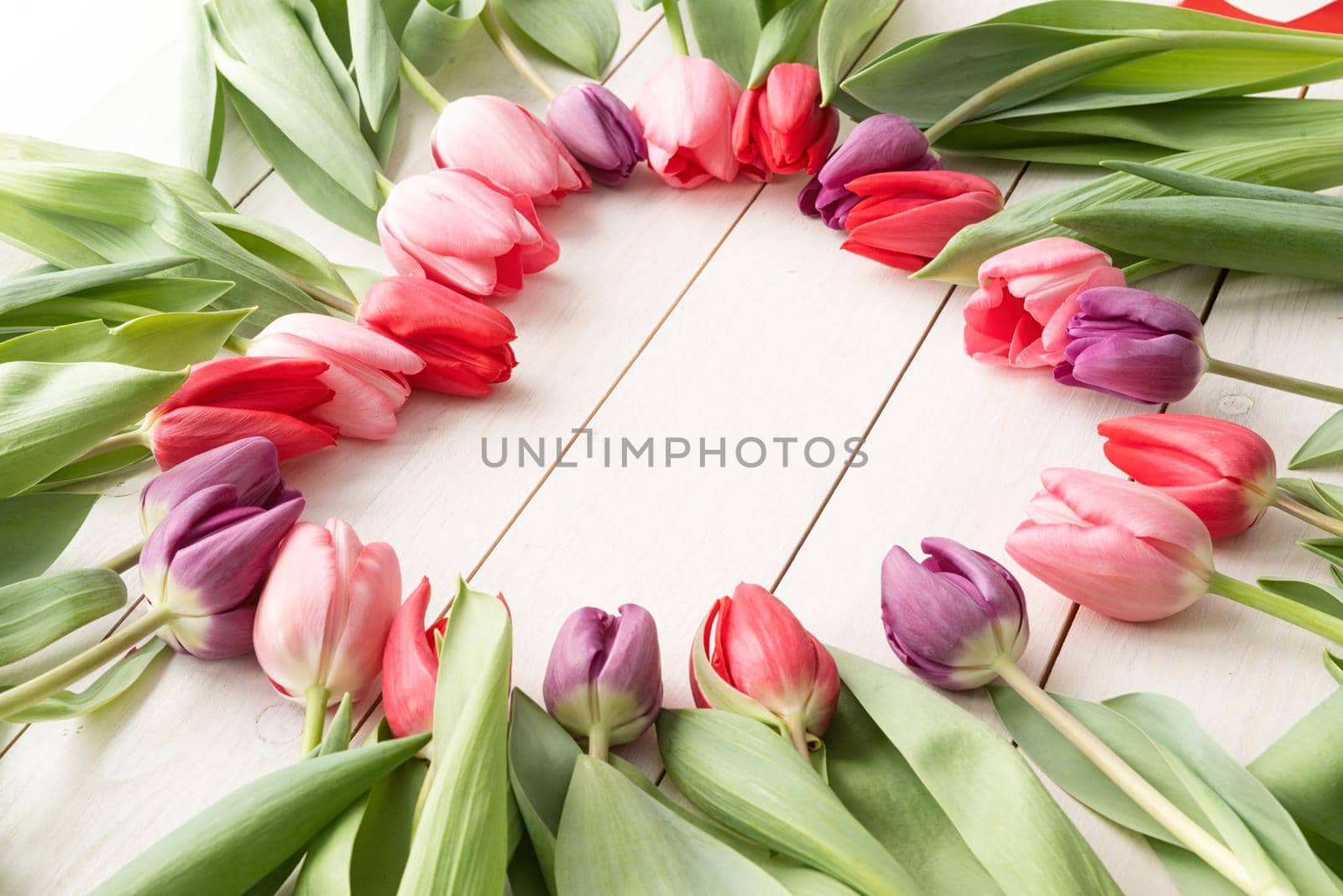 Heart shape made of spring tulip flowers, copy space inside by Desperada