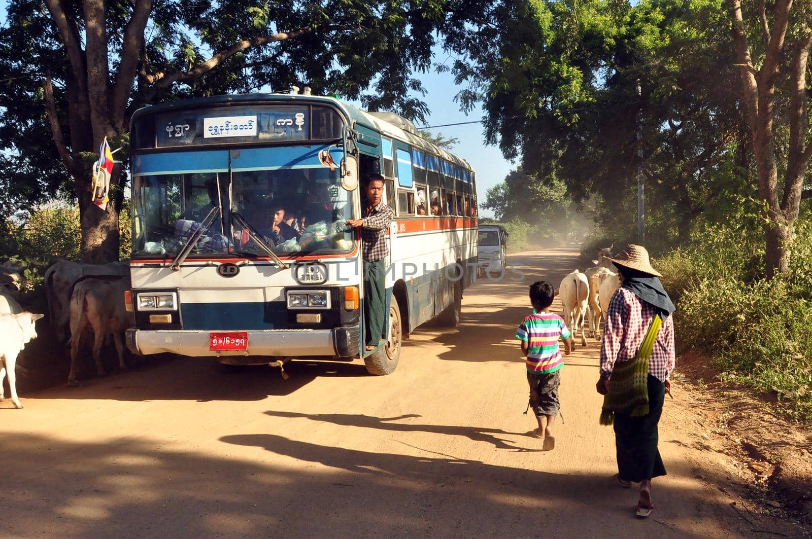 BAGAN, MYANMAR - NOVEMBER 18, 2015: Bus on rural road in village, View of people and cattle on remote rural road with bus under green trees. Mingalazedi Sulamani Shwezigon Ananda Htilominlo