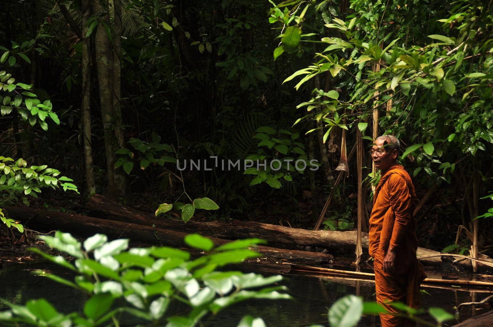 KRABI, THAILAND - 12th MAY, 2014: Ethnic monk man in wild tropical woods, Side view of ethnic Asian man in orange robe standing alone in peaceful green tropical jungle forest