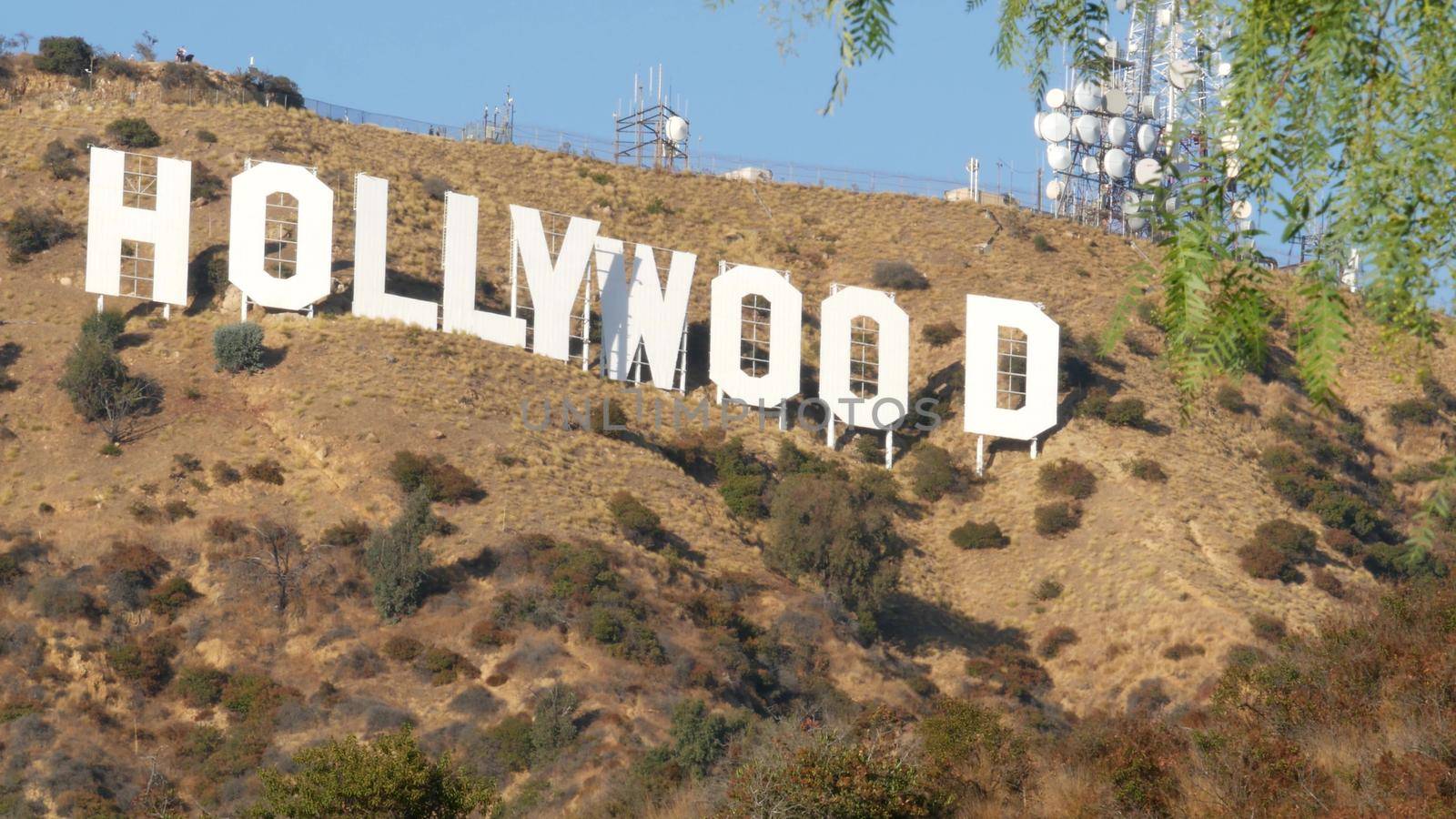 LOS ANGELES, CALIFORNIA, USA - 7 NOV 2019: Iconic Hollywood sign. Big letters on hills as symbol of cinema, movie studios and entertainment industry. Large text on mountain, view thru green leaves by DogoraSun