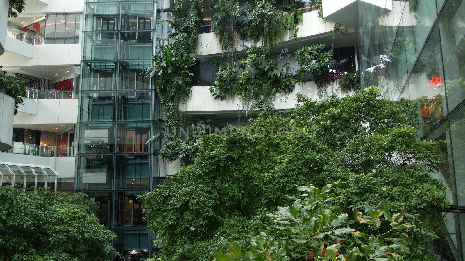 BANGKOK, THAILAND - 18 DECEMBER, 2018 The Emquartier - luxury shopping center. Design of mall in green environmentally friendly concept. Open air hanging garden on terraces and waterfall. by DogoraSun