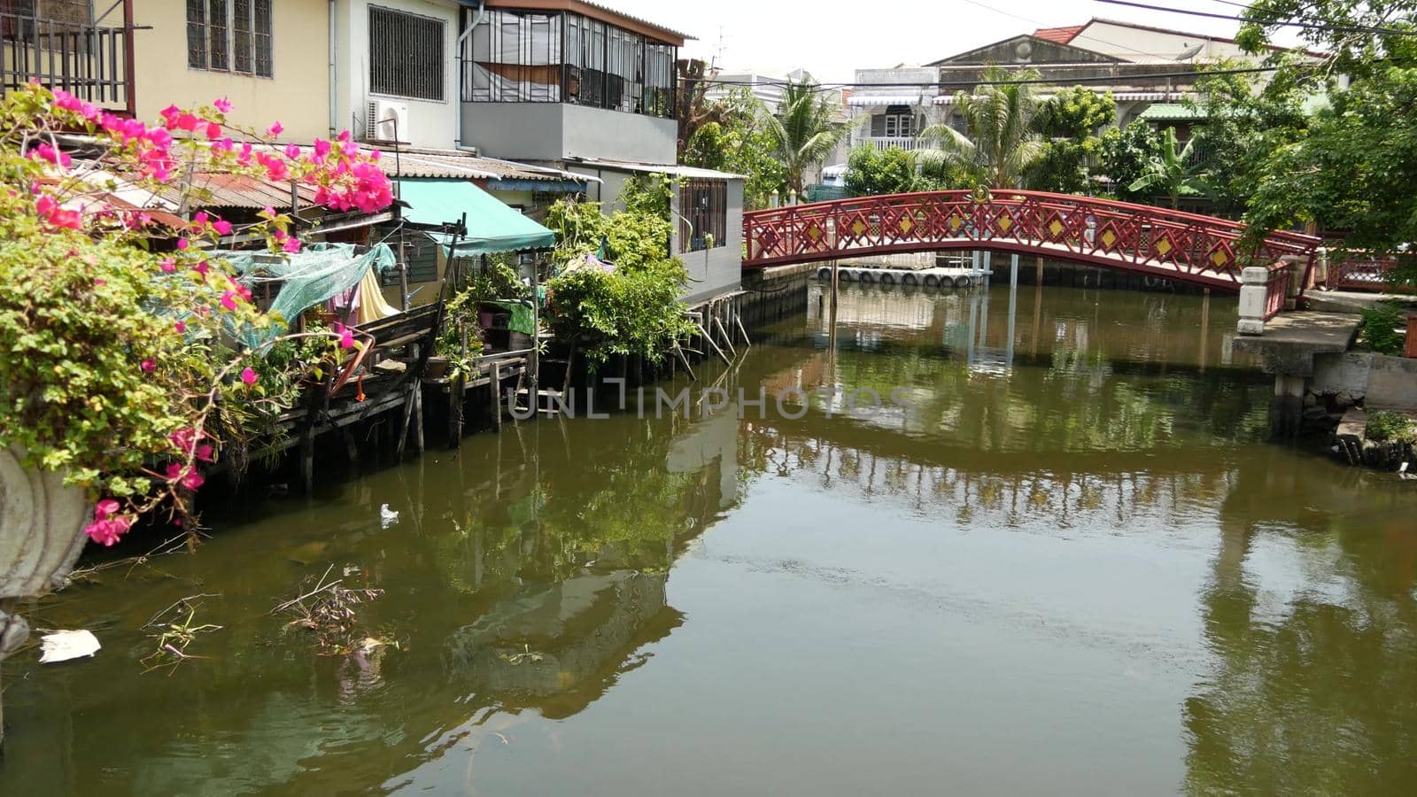 BANGKOK, THAILAND - 13 JULY 2019: Traditional asian river canal. View of calm khlong channel and residential houses in Siam. Classic iconic water way in Krungtep.