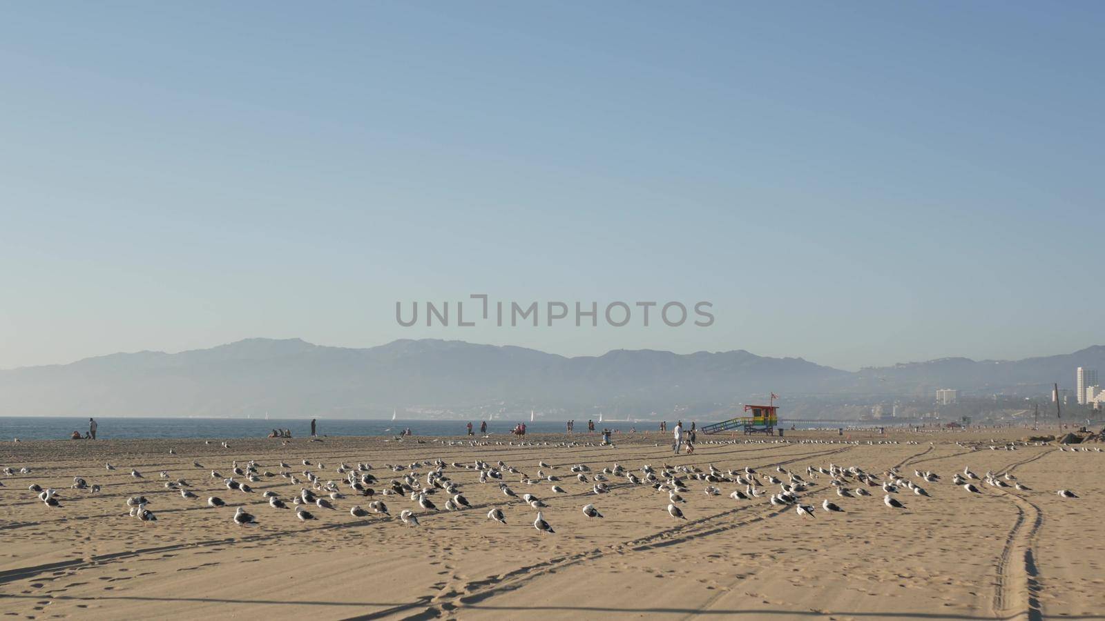 LOS ANGELES CA USA - 16 NOV 2019: California summertime Venice beach aesthetic. Sea gulls on sunny california coast, iconic retro wooden rainbow lgbt pride lifeguard watchtower near Santa Monica by DogoraSun