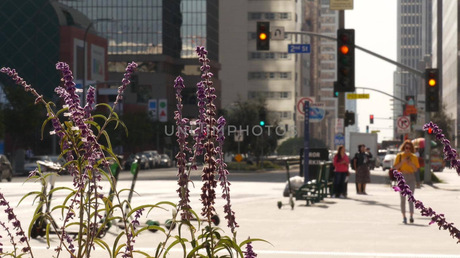 LOS ANGELES, CALIFORNIA, USA - 30 OCT 2019: People walking in metropolis, pedestrians on walkway in urban downtown. Citizens on street in financial district. City dwellers in LA among skyscrapers by DogoraSun
