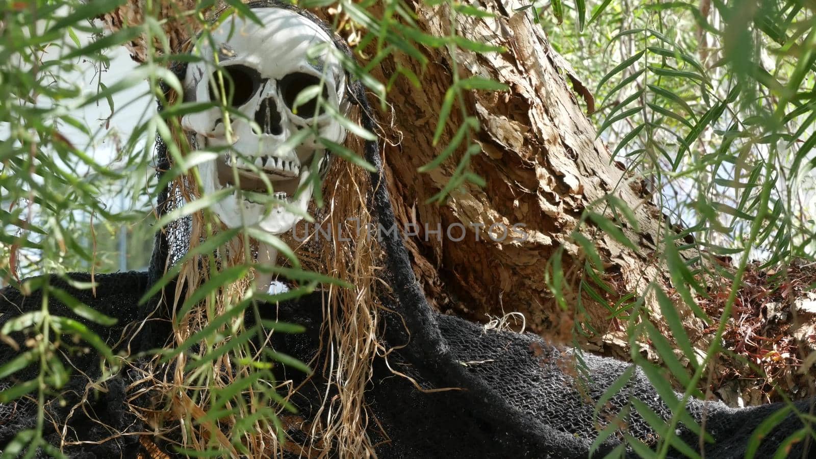 LOS ANGELES, CALIFORNIA, USA - 29 OCT 2019: Scary festival decorations of a house, Happy Halloween holiday. Classic garden with Pumpkin, Bones and Skeleton. Traditional party decor. American culture by DogoraSun