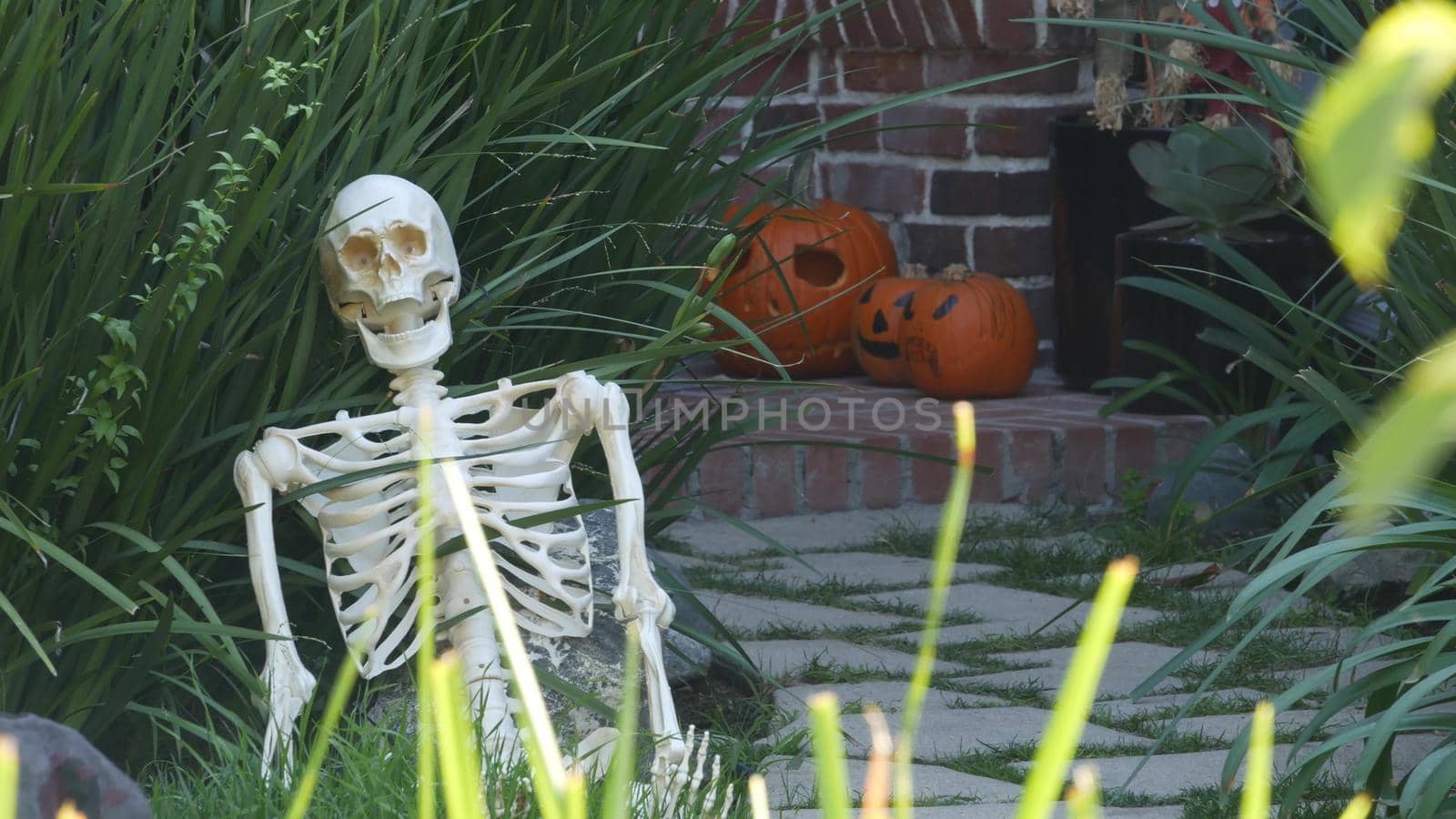 LOS ANGELES, CALIFORNIA, USA - 29 OCT 2019: Scary festival decorations of a house, Happy Halloween holiday. Classic garden with Pumpkin, Bones and Skeleton. Traditional party decor. American culture.