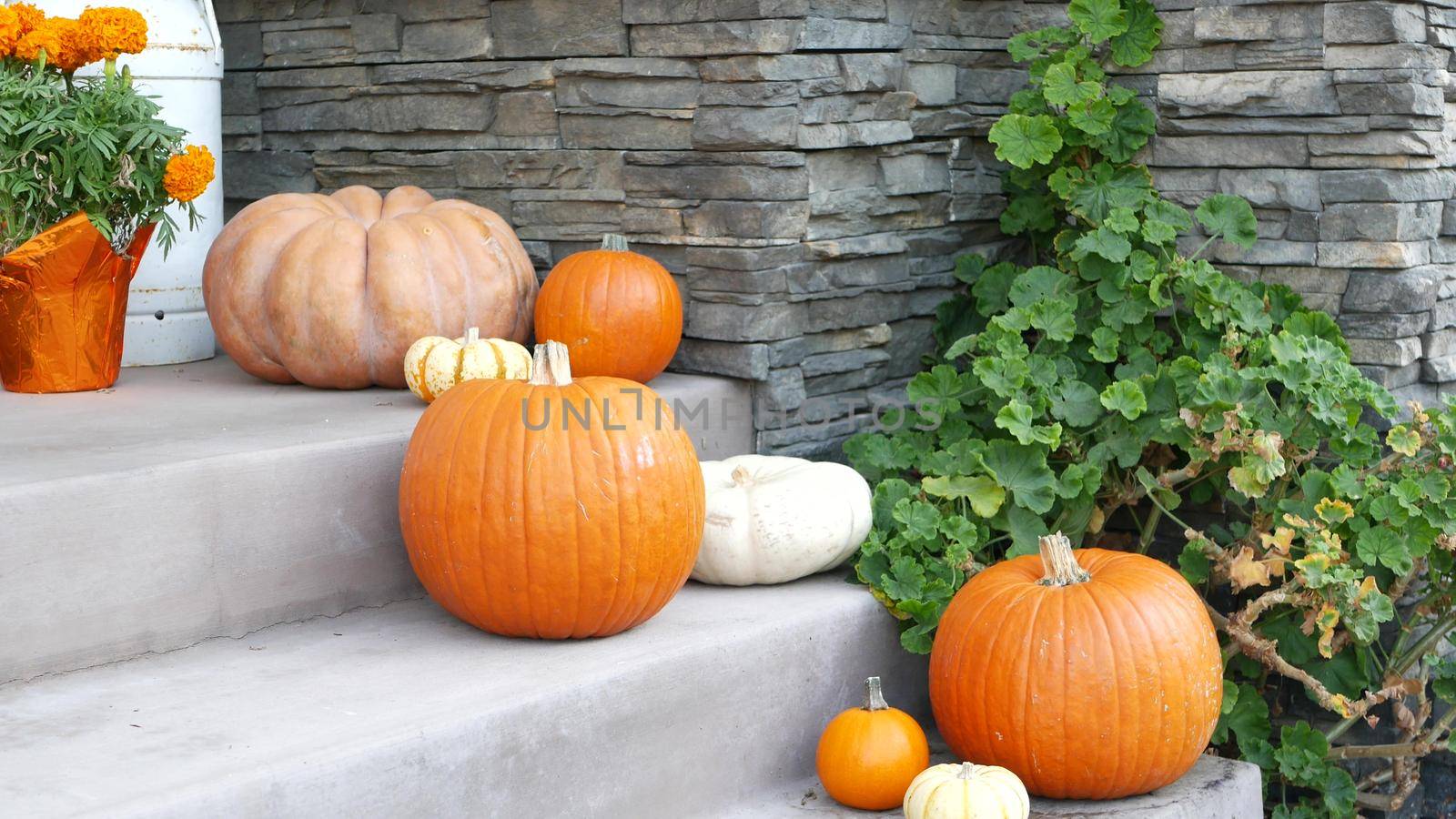 LOS ANGELES, CALIFORNIA, USA - 29 OCT 2019: Scary festival decorations of a house, Happy Halloween holiday. Doorway stairs with jack-o-lantern pumpkin. Traditional party decor. American culture by DogoraSun