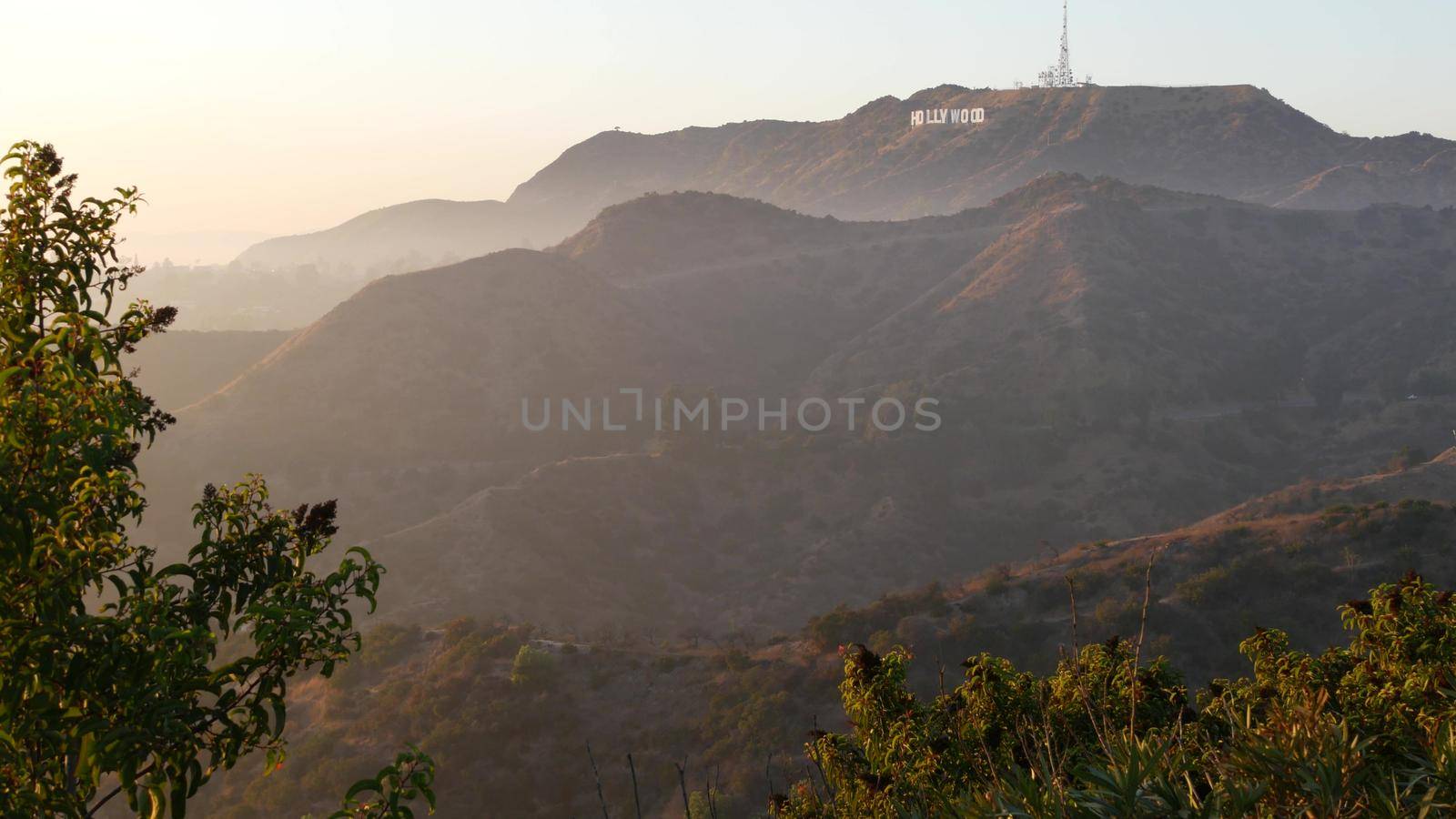 LOS ANGELES, CALIFORNIA, USA - 7 NOV 2019: Iconic Hollywood sign. Big letters on hills as symbol of cinema, movie studios and entertainment industry. Large text on mountain, view thru green leaves.