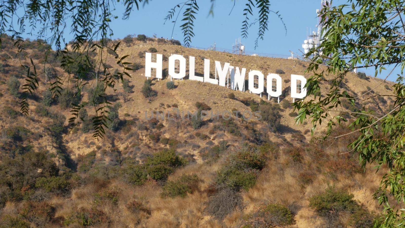 LOS ANGELES, CALIFORNIA, USA - 7 NOV 2019: Iconic Hollywood sign. Big letters on hills as symbol of cinema, movie studios and entertainment industry. Large text on mountain, view thru green leaves by DogoraSun