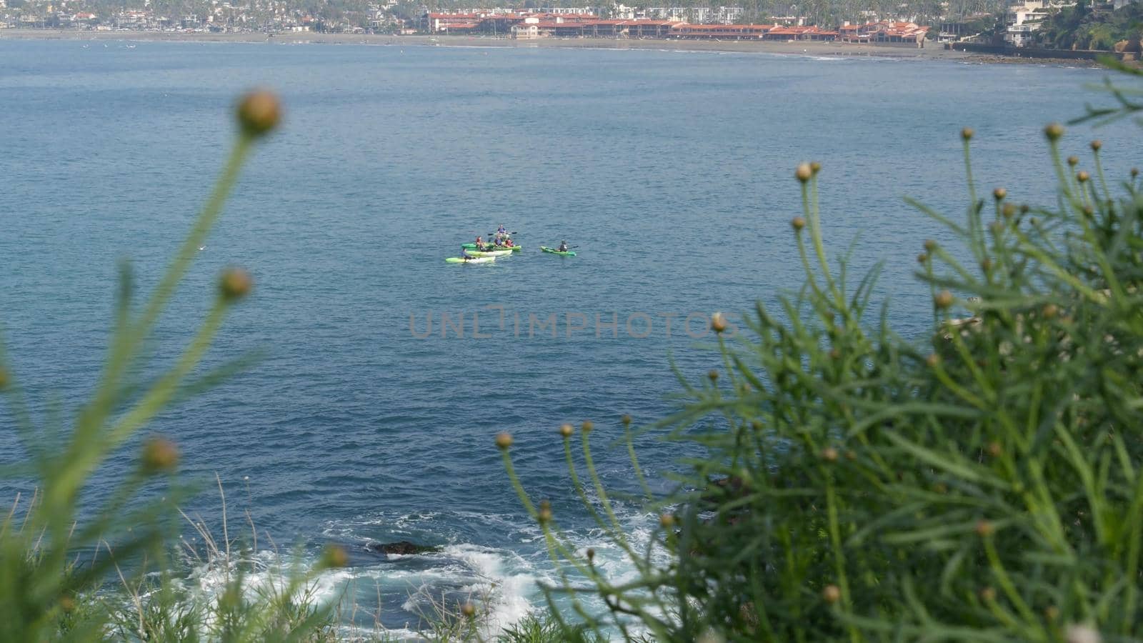 La Jolla, San Diego, CA USA -24 JAN 2020: Group of people on kayaks in ocean, active tourists on canoe paddling and looking for seal. View from steep high cliff. Leisure during vacations and holidays by DogoraSun