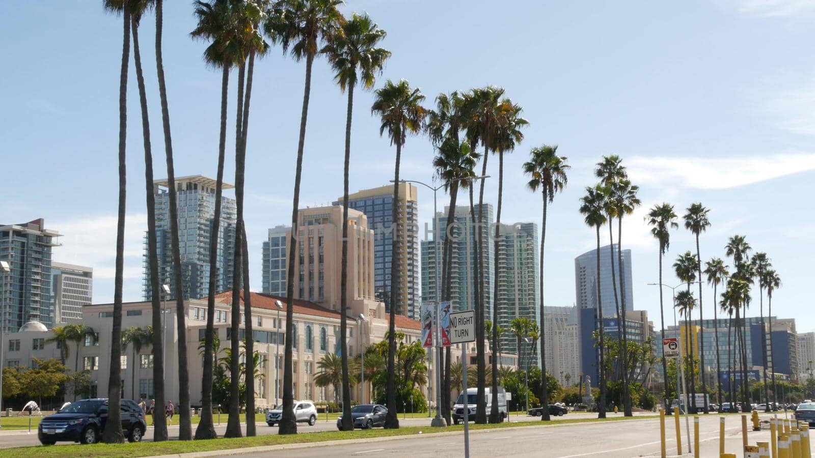 SAN DIEGO, CALIFORNIA USA - 30 JAN 2020: County civic center in downtown. Urban skyline of Gaslamp Quarter. Cityscape of metropolis, pacific harbour waterfront with palm trees. Cars drive on road.