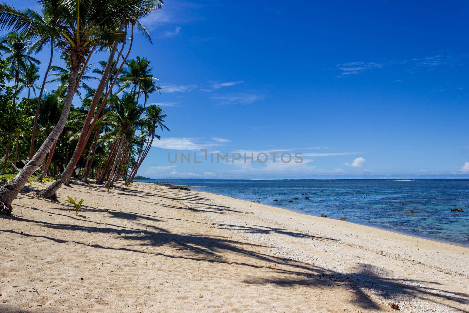 Beach on the tropical island clear blue water. Dravuni Island, Fiji