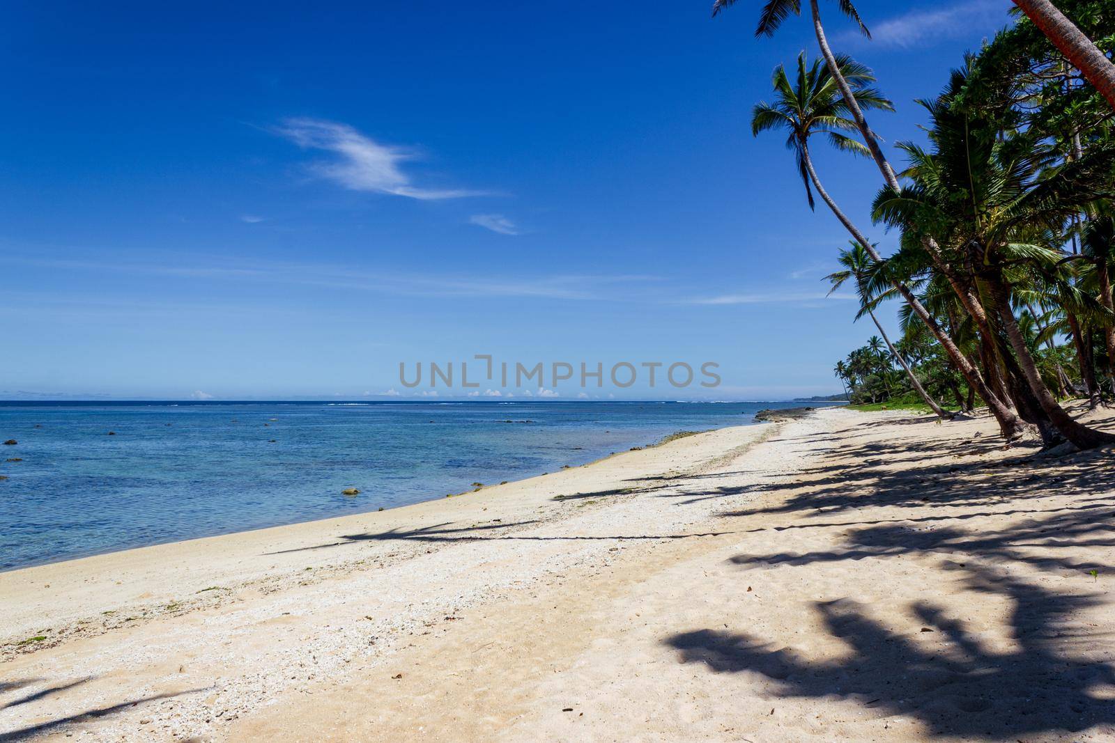 Beach on the tropical island clear blue water. Dravuni Island, Fiji