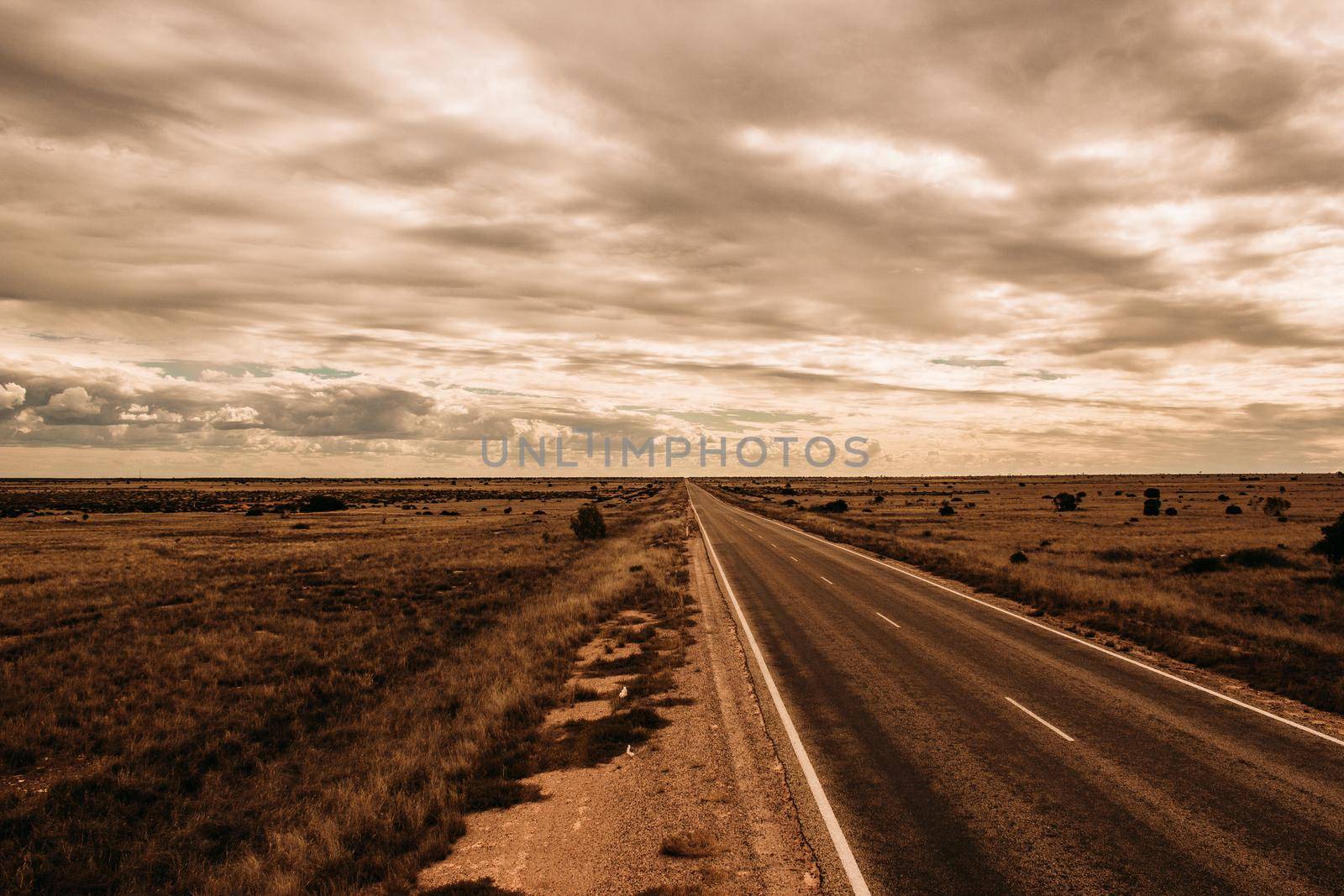 Straight Street in Nullarbor Dessert, Outback by bettercallcurry