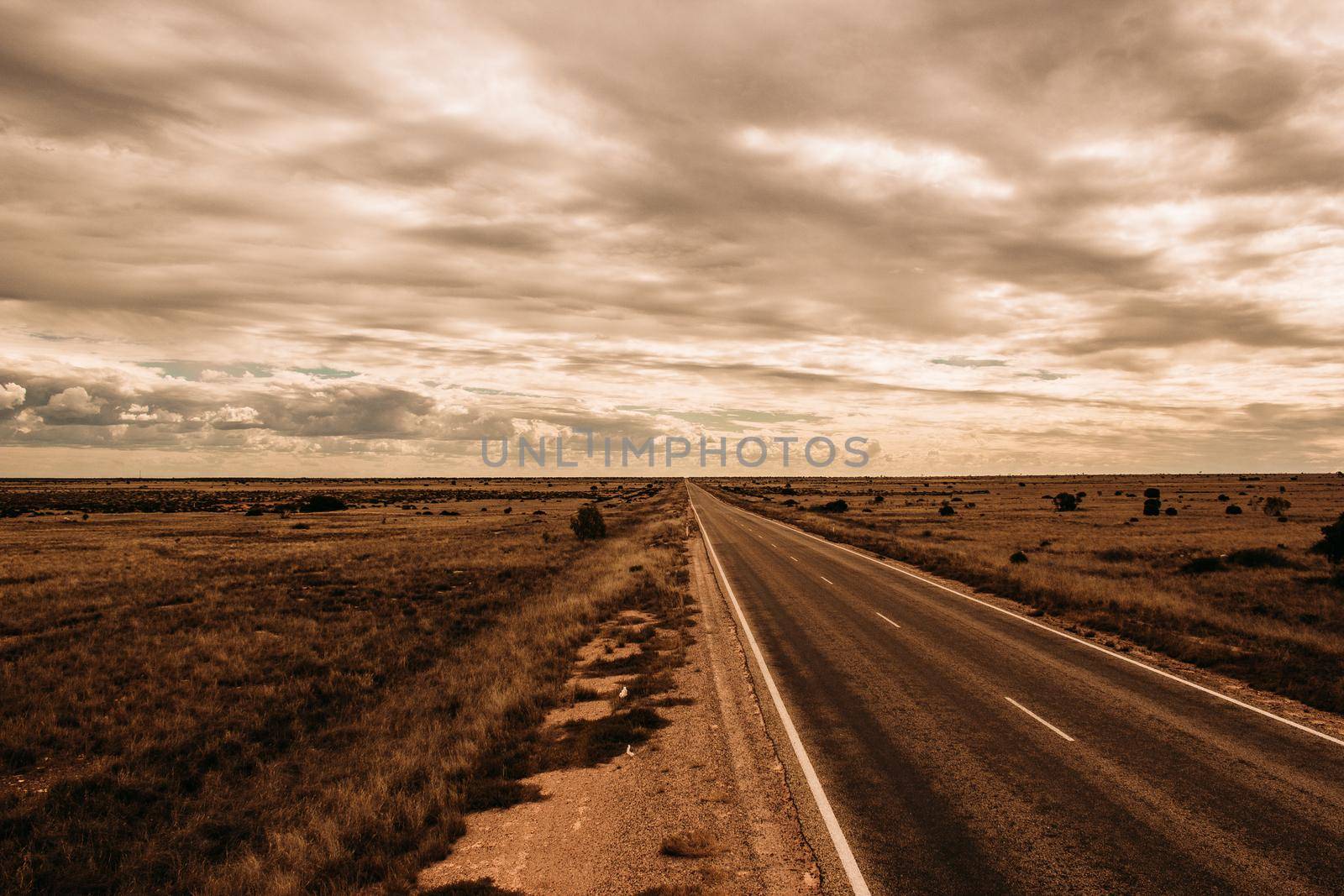 Straight Street in Nullarbor Dessert, Outback, Australia