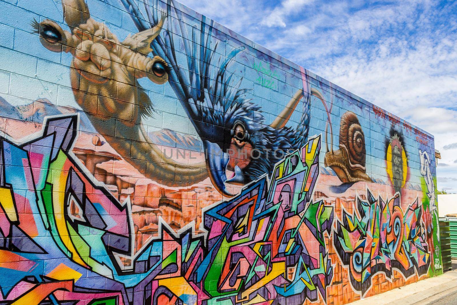 Alice Springs - 2015, April 27: Street art by unidentified artist next to a shopping center in Alice