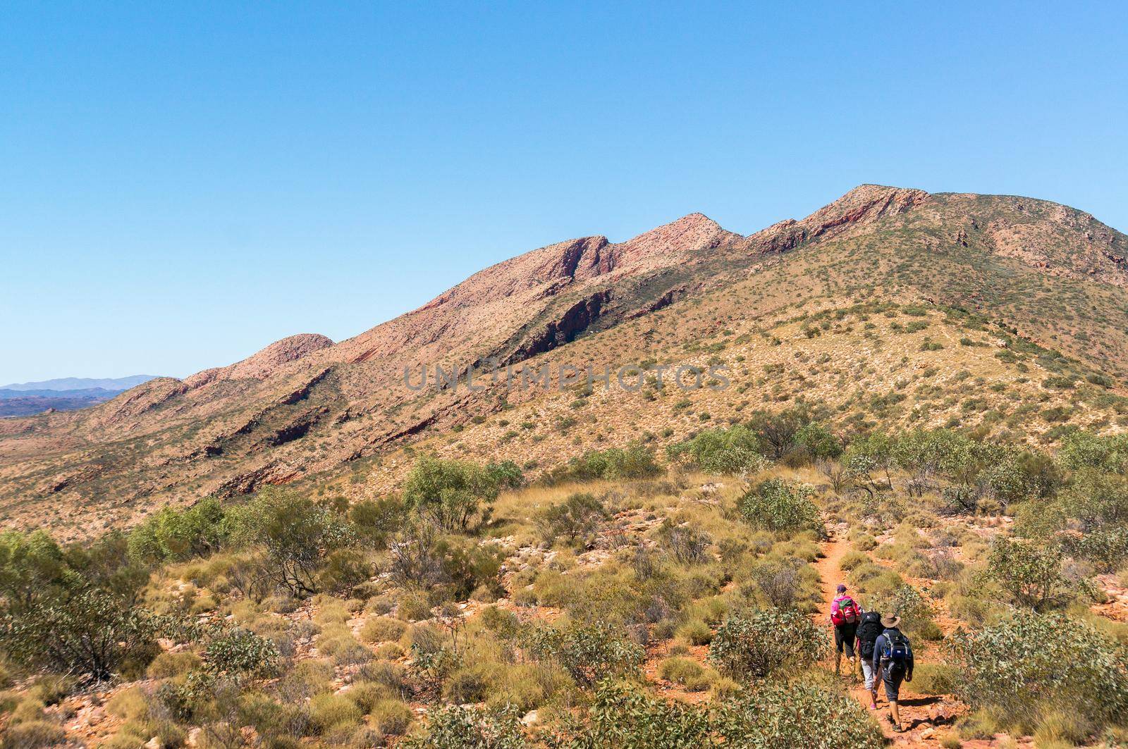 Hikers on the way to the top of Mount Sonder just outside Alice Springs, West MacDonnel National Park, Australia by bettercallcurry