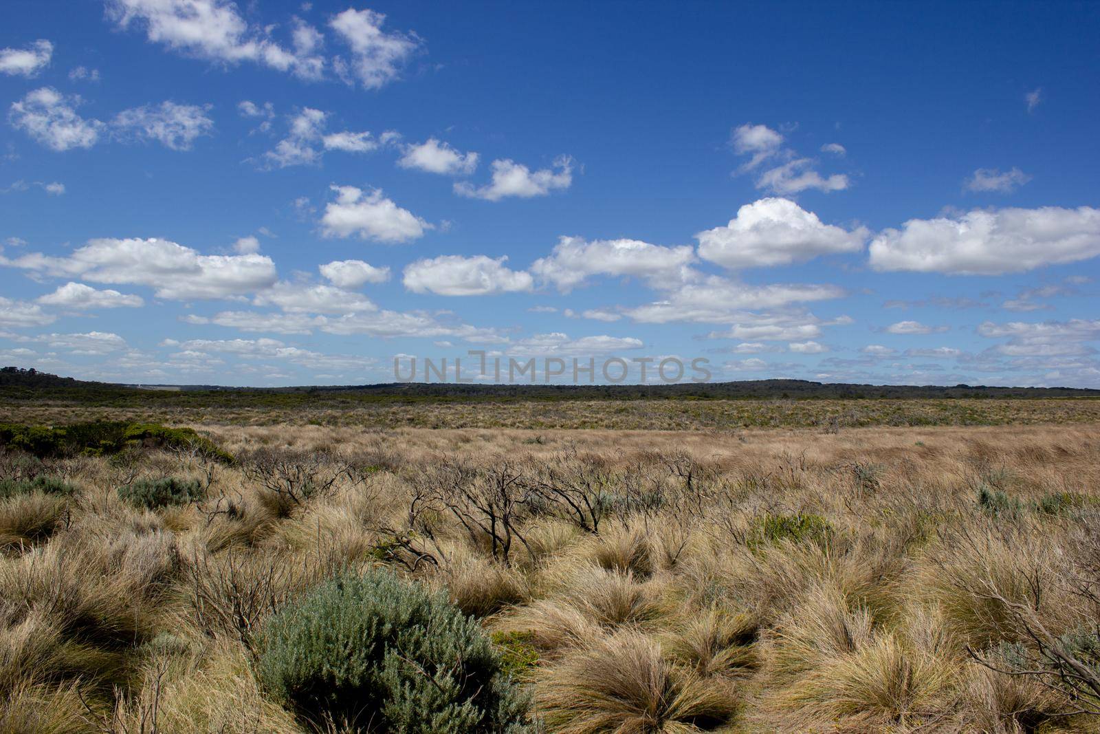 flat grassland landscape with white clouds, Great Ocean Road,
