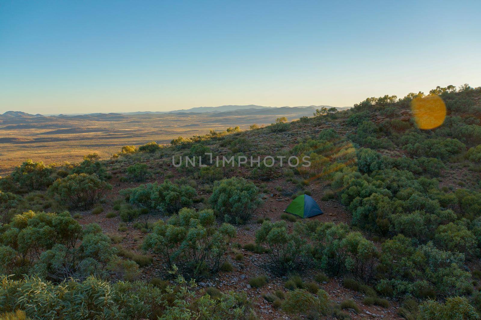 Tourist tent in camp among meadow in the mountain at sunrise, australia by bettercallcurry