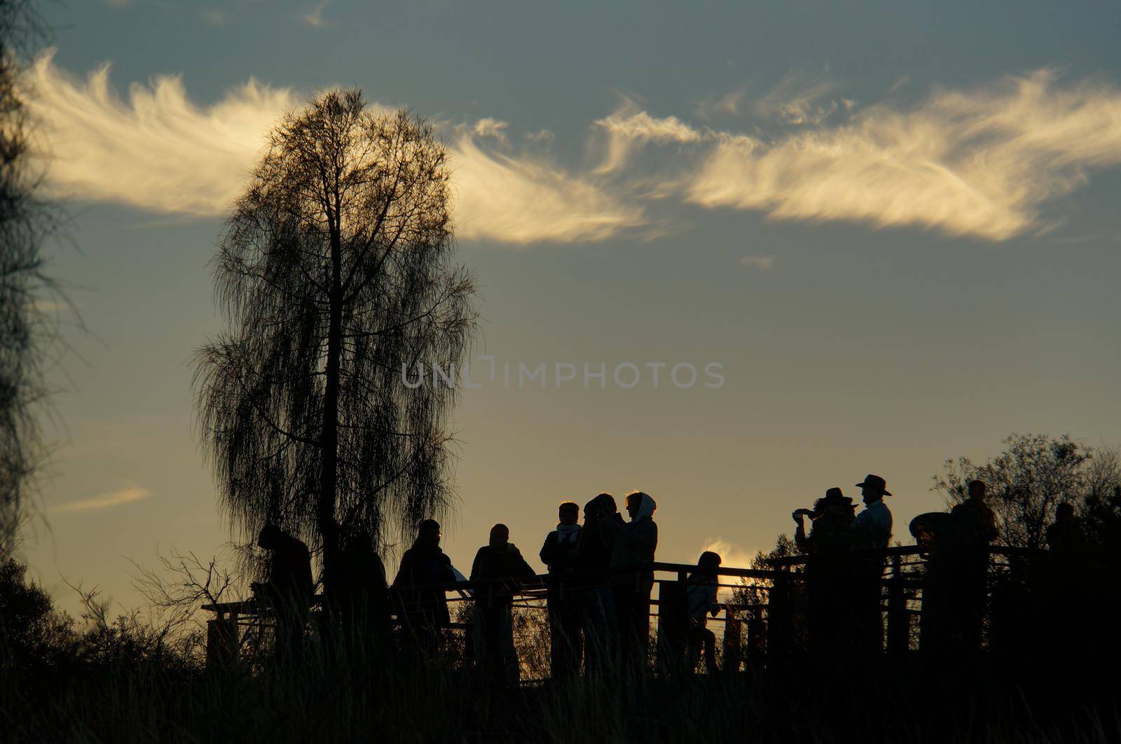 Ayers Rock, Australia April 30, 2015: silhouette of tourists enyoing sunrise at Uluru, ayers Rock, the Red Center of Australia